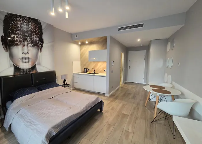 Ovo * 브로츠와프